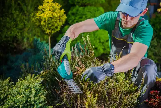landscaping services Hillman